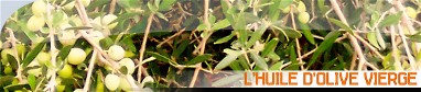 Vente et production d'huile d'olive
