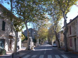 L'avenue de la Vallée des Baux