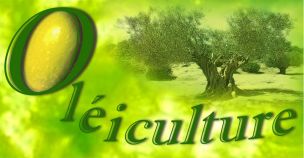 oléiculture traçabilité