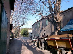 Entre les cuves et l'entrée des olives